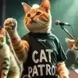 Cat Patrol